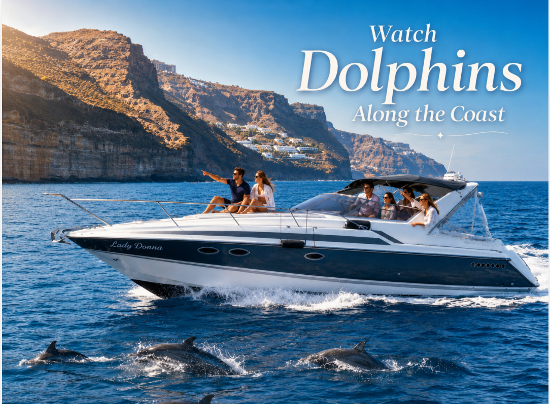 Dolphin watching along the Gran Canaria coast